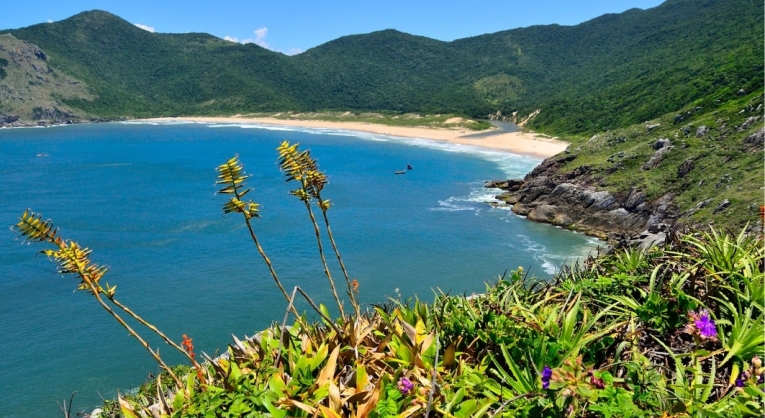 Melhores praias de Santa Catarina 